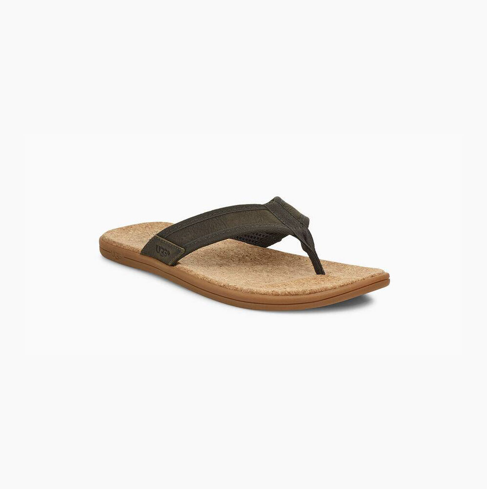 UGG Seaside - Flip Flops Herre - Grønn (NO-F494)